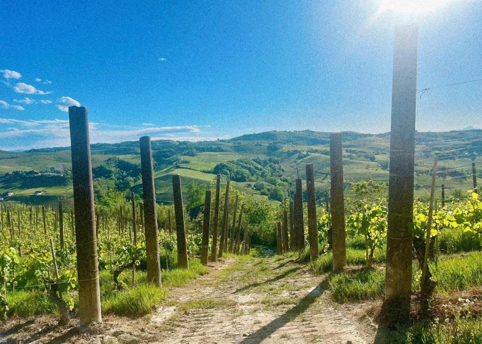 Calosso Wine View Escape Экстерьер фото
